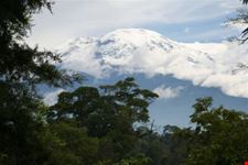 arusha kilimanjaro climbing tours