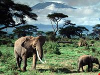 mount kilimanjaro in tanzania arusha