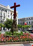 cordoba plaza de las tendillas