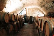 Casa Sola - the aging cellar