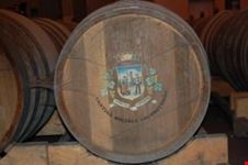 Enogastronomia e Cantine