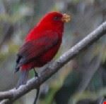 1b
