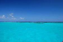 Grenadines, l'acqua di Tobago Cays