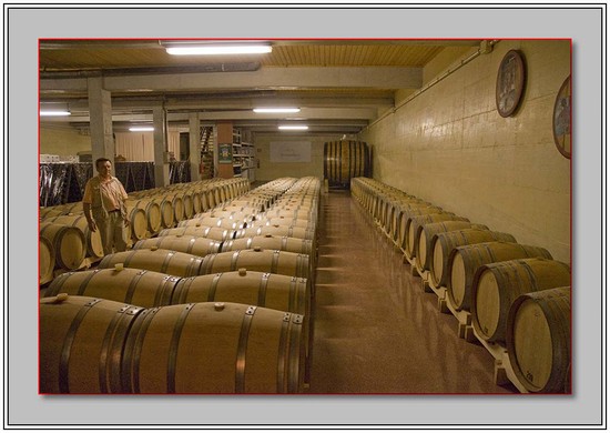 La cantina Pittaro