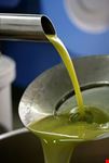 il nostro olio Toscano IGP