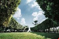 PARCO DI SAN ROCCO