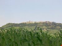 PAESAGGIO MONTERUBBIANO