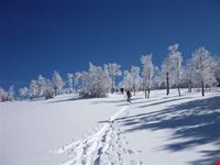 Monti della Laga