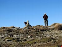 Monte Pelone