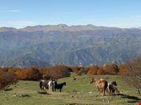 Monti della Laga