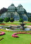 viena greenhouse
