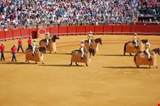 sevilla el ruedo de la plaza de toros de la maestranza