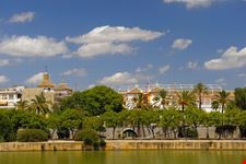 sevilla vista del barrio de triana