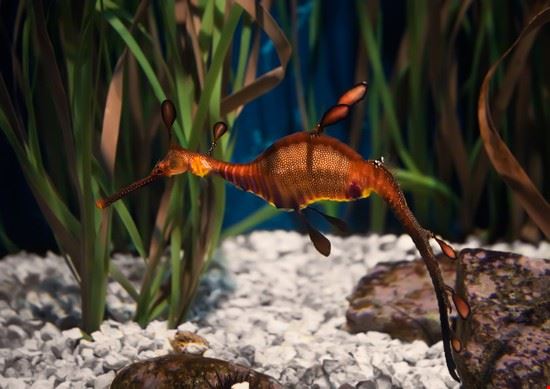 Acquario Barcellona  