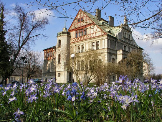 Park Klepacza willa Reinholda Richtera, fot Pawel Wojtyczka