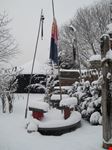 kleinemongolei im schnee koeln