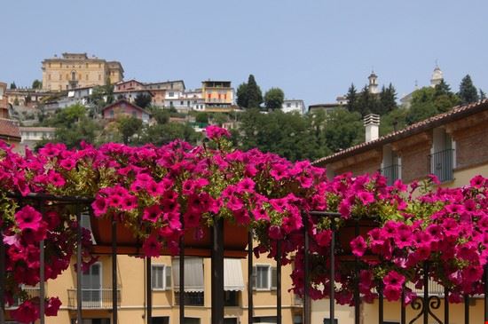  Veduta della città alta, chiamata Villanuova.  