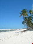 zanzibar la spiaggia
