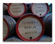 bacoli challenge irish pub a  bacoli