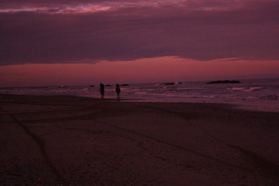 Lido di Pomposa