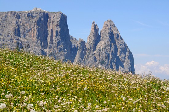Lo Sciliar all' Alpe di Siusi