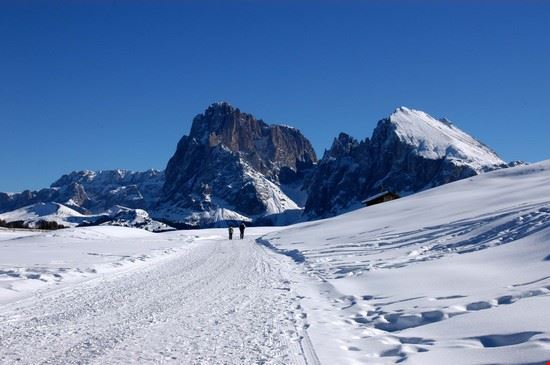 Alpe di Siusi Alpe di Siusi  