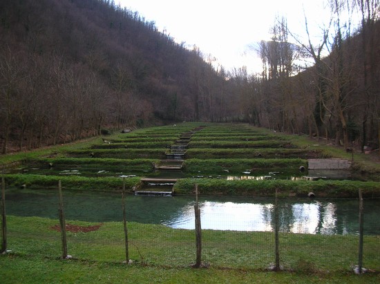 impianto ittico e pesca sportiva vallata Sorgenti Fiume Esino