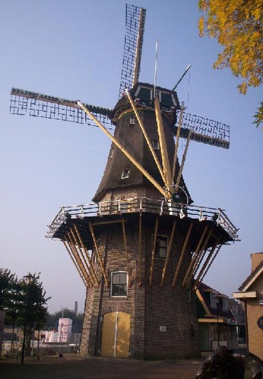 Mulino