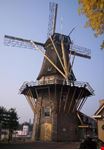 Mulino
