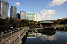 tokyo hamarikyu gardens