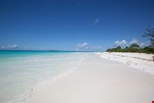 zanzibar zanzibar
