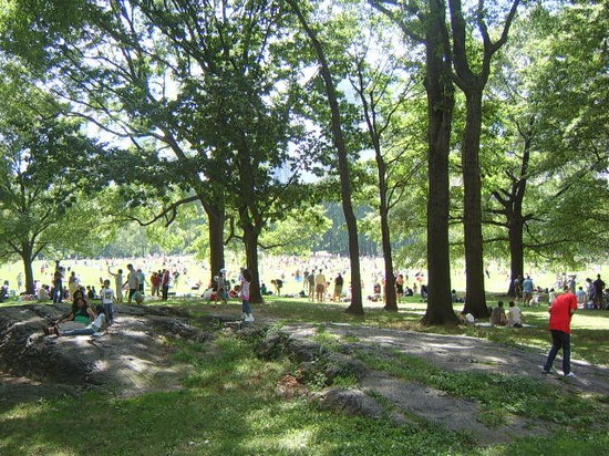 Central Park