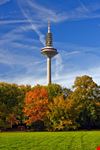 frankfurt ginnheimer spargel