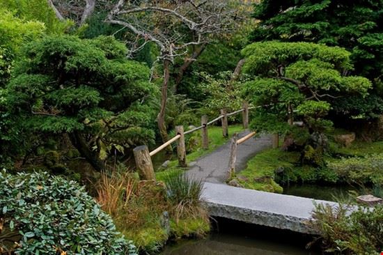 Japanese Tea Garden San Francisco  