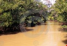 amazzonia
