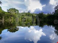 tour amazzonia