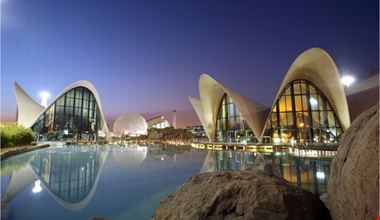 valencia l oceanografic valencia l oceanografic