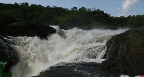 kampala rafiki adventure safaris