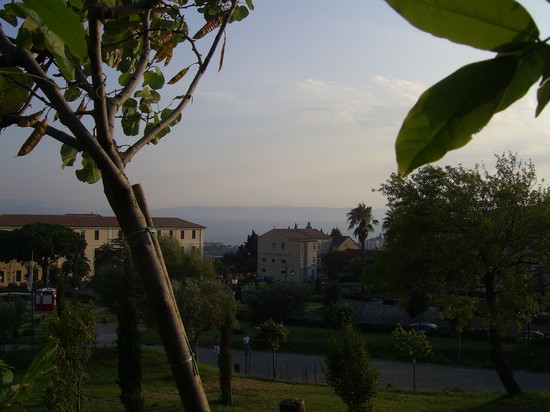 panorama
