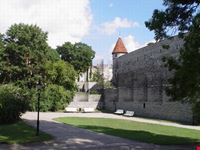 tallinn tallin old town walking tour