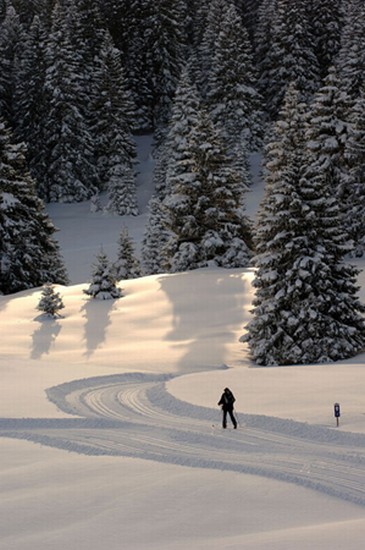 Visit Trentino