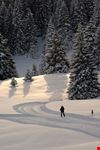Visit Trentino