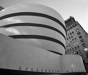 the guggenheim museum new york