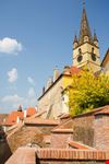 The Reformed church