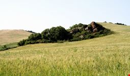 reggio emilia landschaft bei reggio emilia