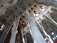 una foresta in una chiesa