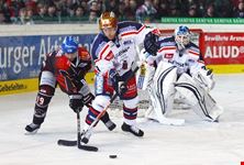 augsburg augsburger panther