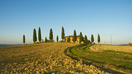 Tipico paesaggio toscano. Le colline del Chianti.