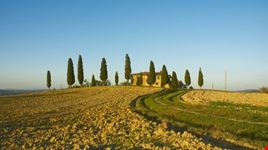 Tipico paesaggio toscano. Le colline del Chianti.