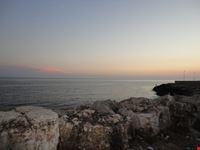Torre Vado